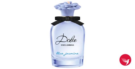 dolce gabbana light blue jasmin